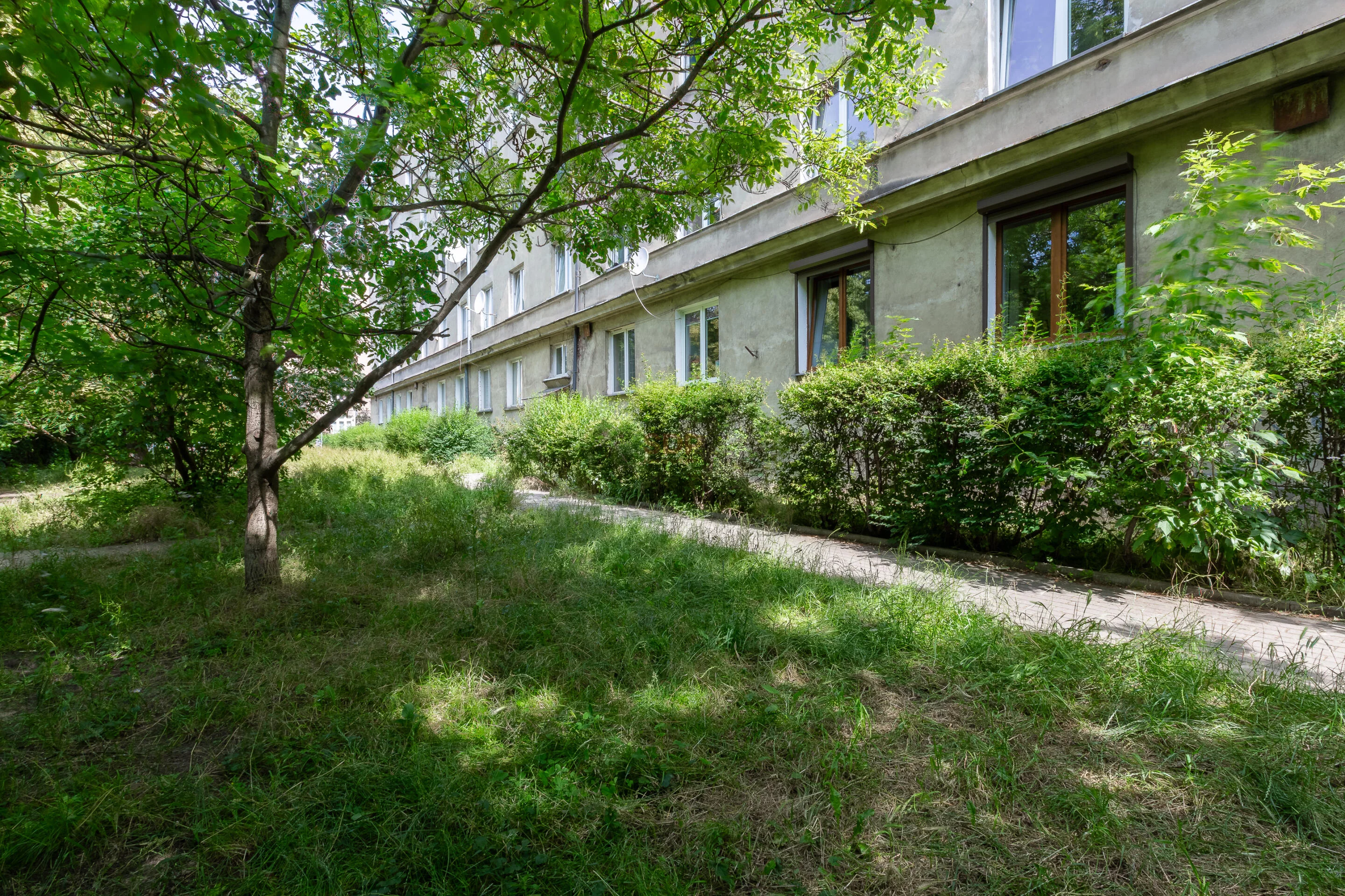 41840 - zdjęcie nr 1