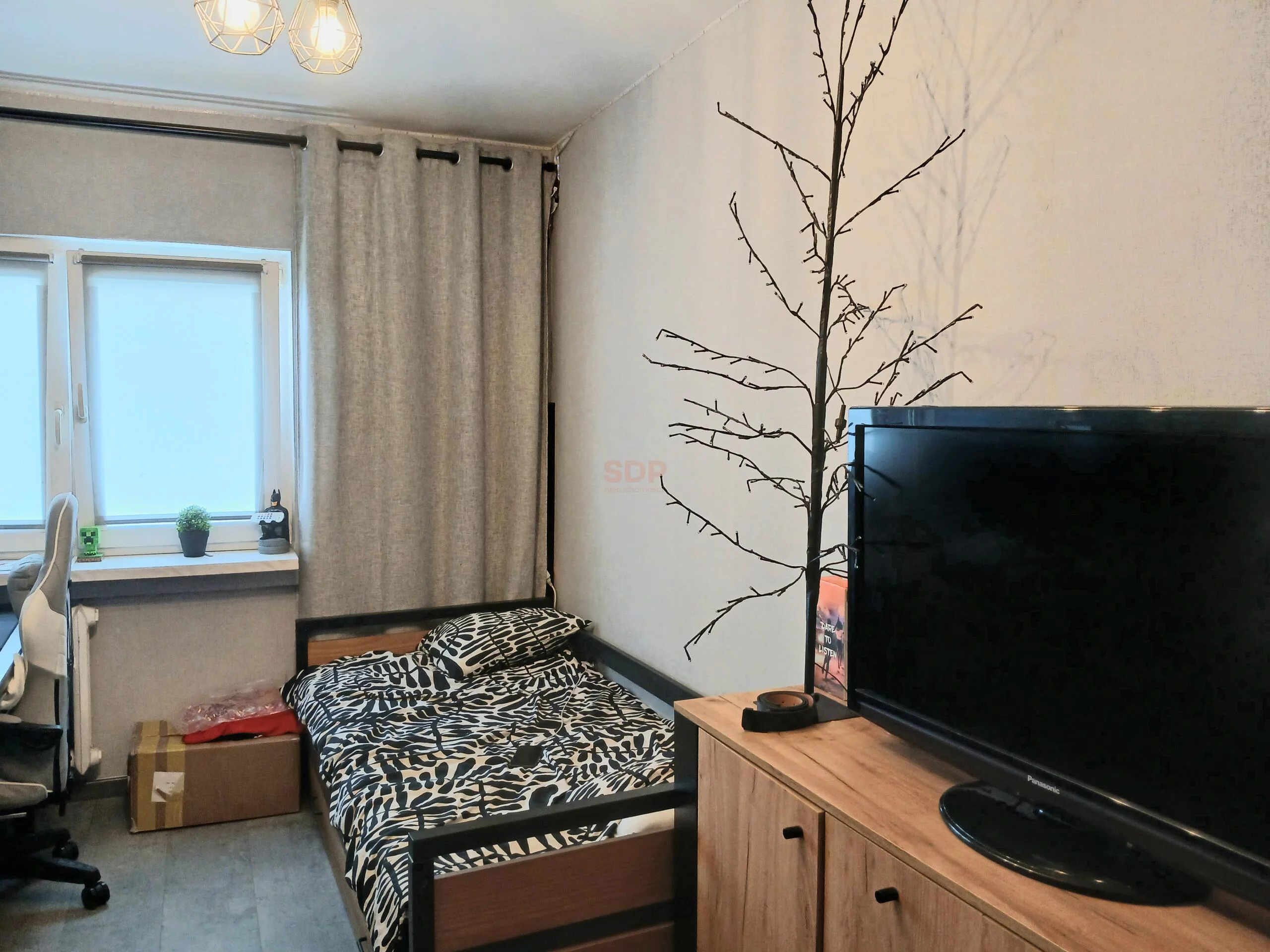 42120 - zdjęcie nr 2