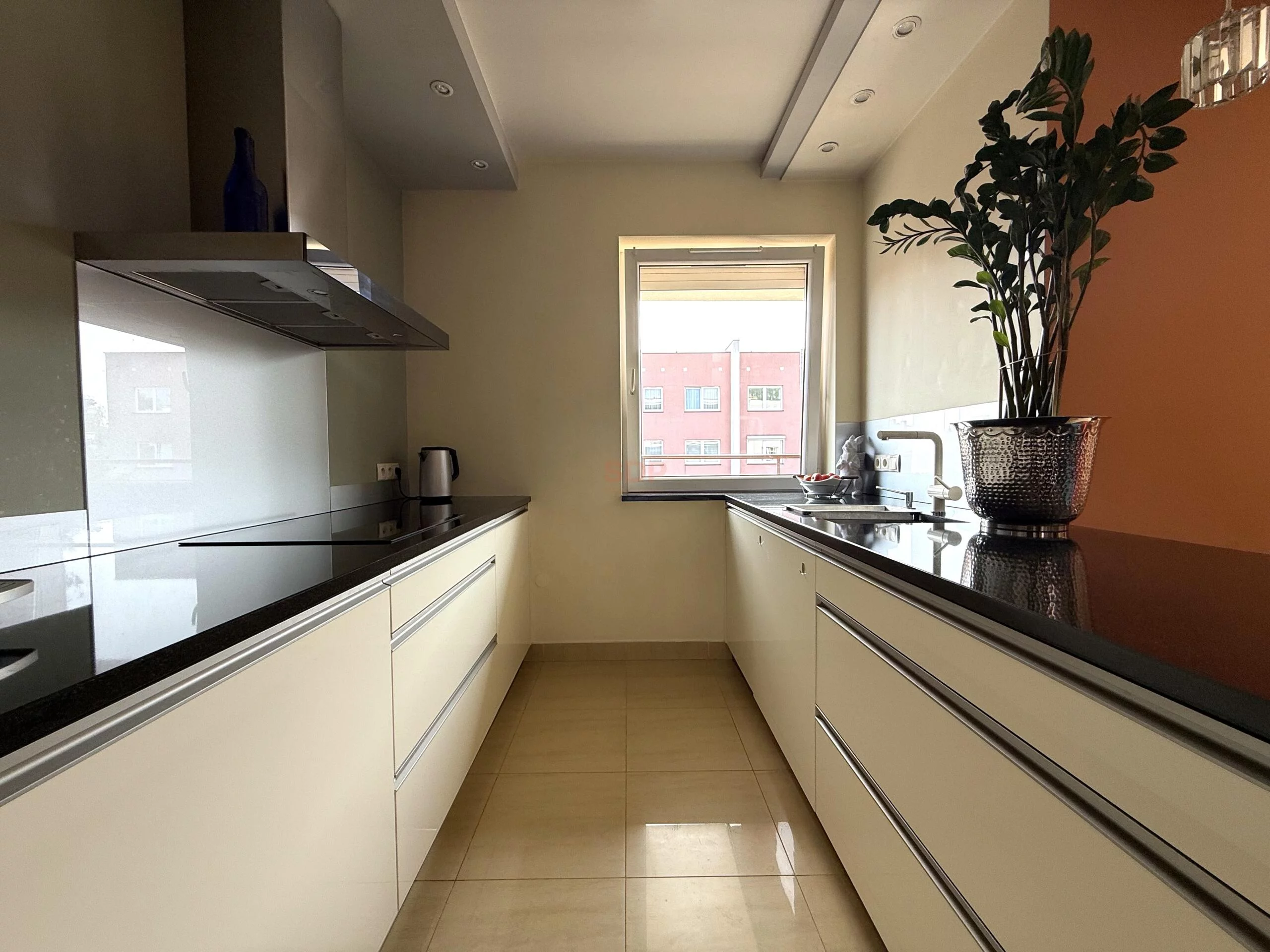 42450 - zdjęcie nr 2