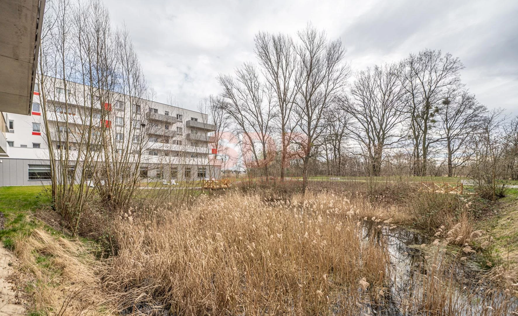 39622 - zdjęcie nr 2