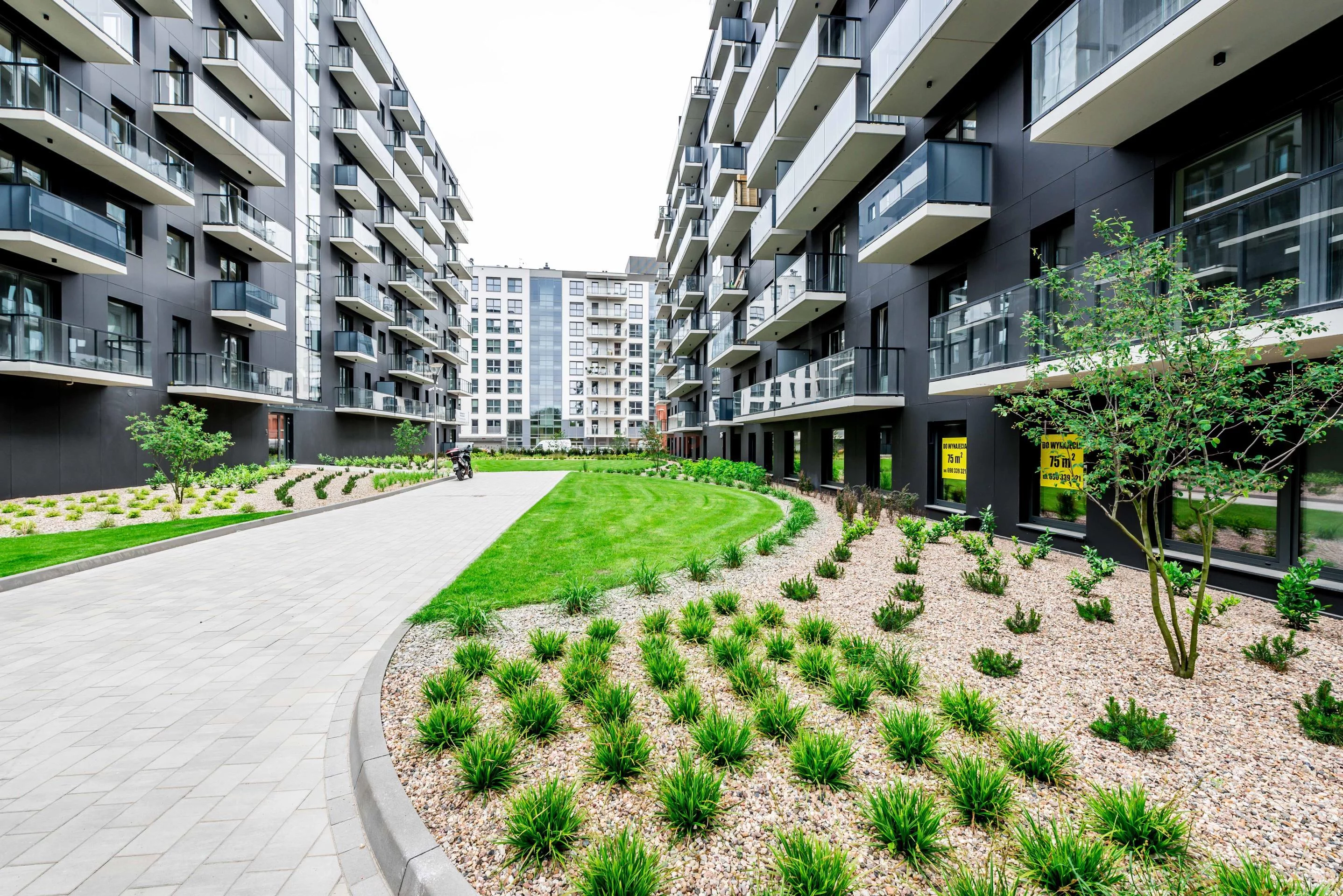 3 pokoje, mieszkanie 60,00 m², piętro 5, oferta nr , 42802, Wrocław, Stare Miasto, Mieszczańska
