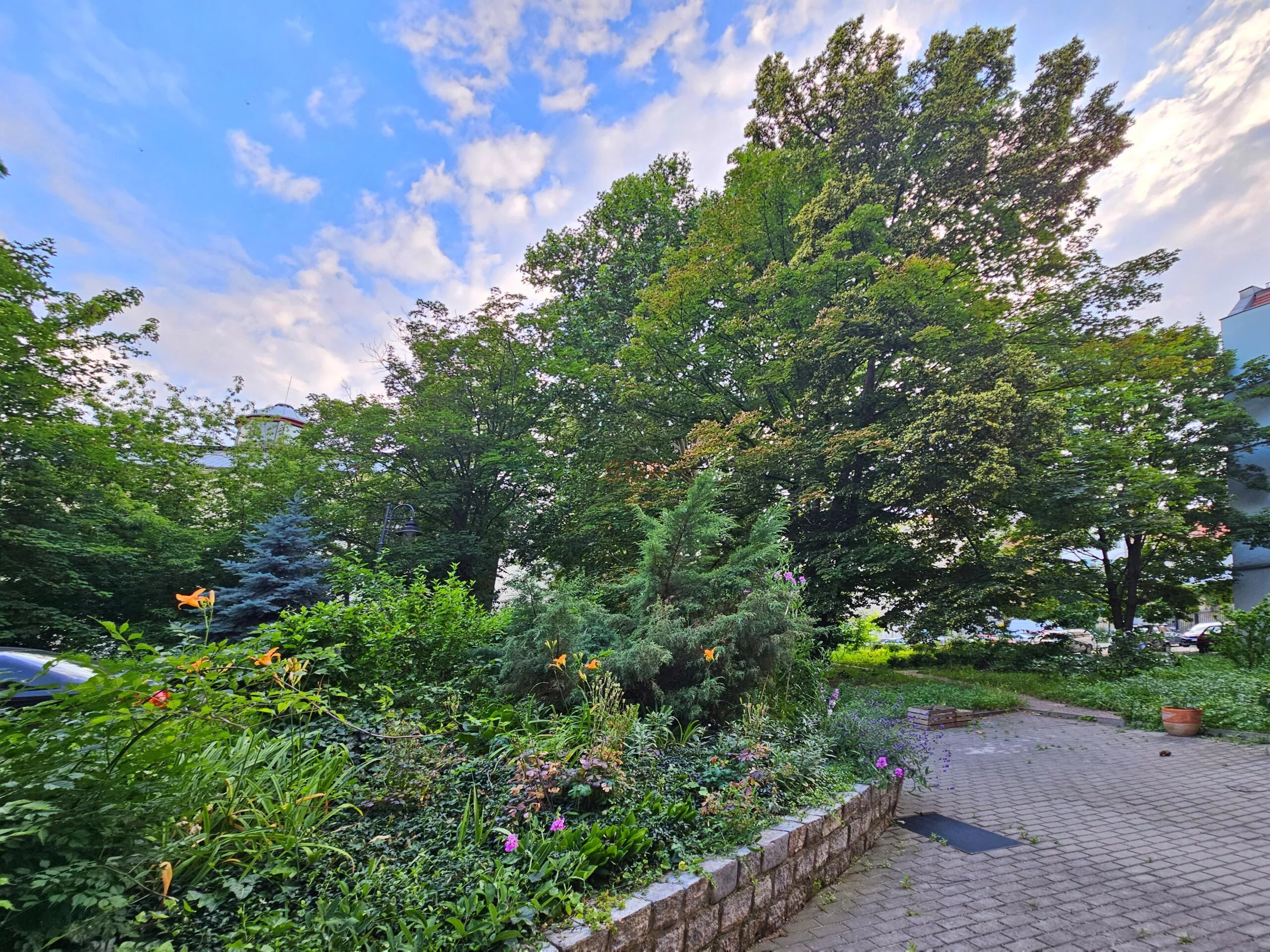 3 pokoje, apartament 79,40 m², piętro 2, oferta nr , 41852, Wrocław, Stare Miasto, Świętego Antoniego