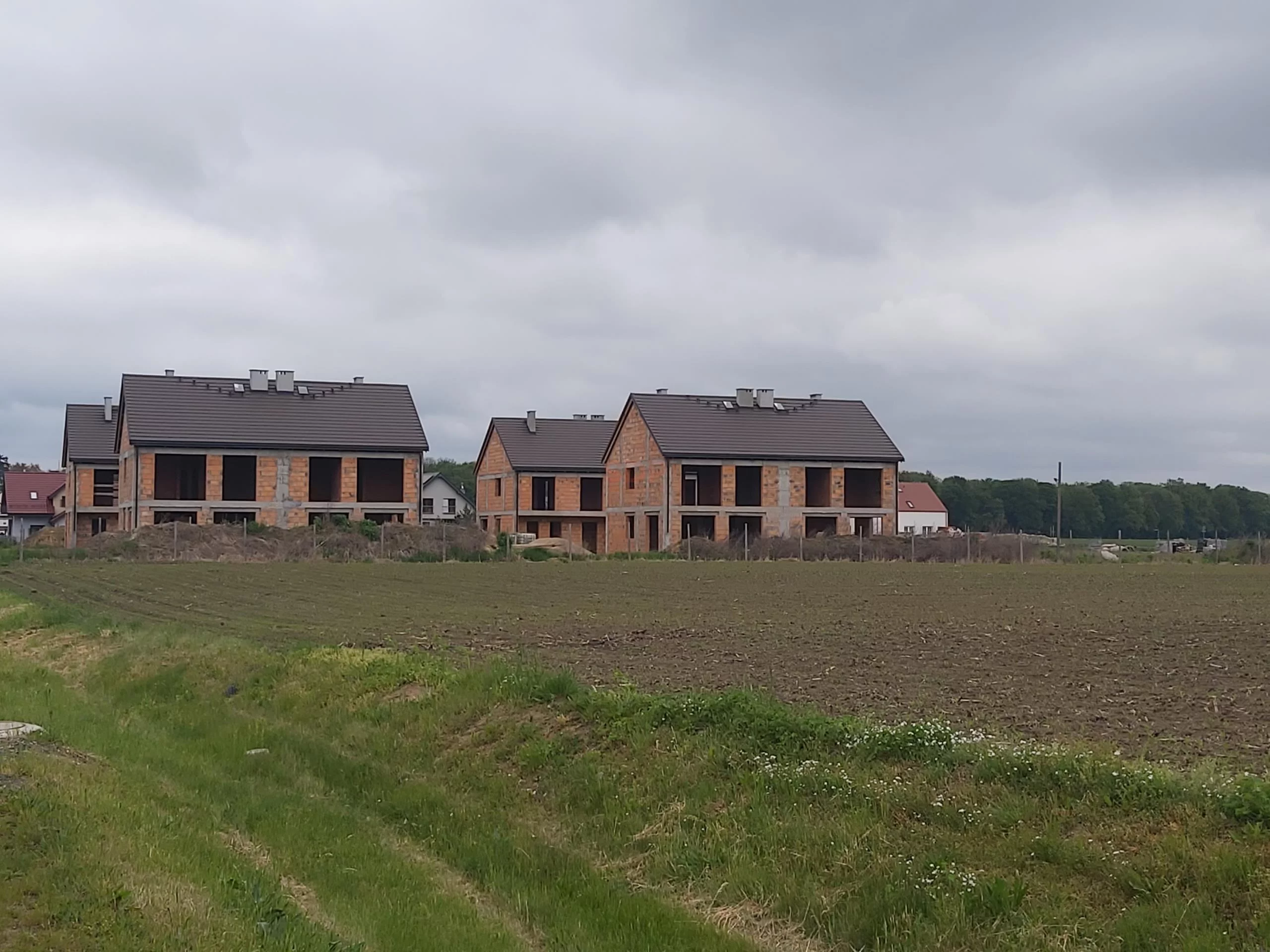 31052 - zdjęcie nr 2