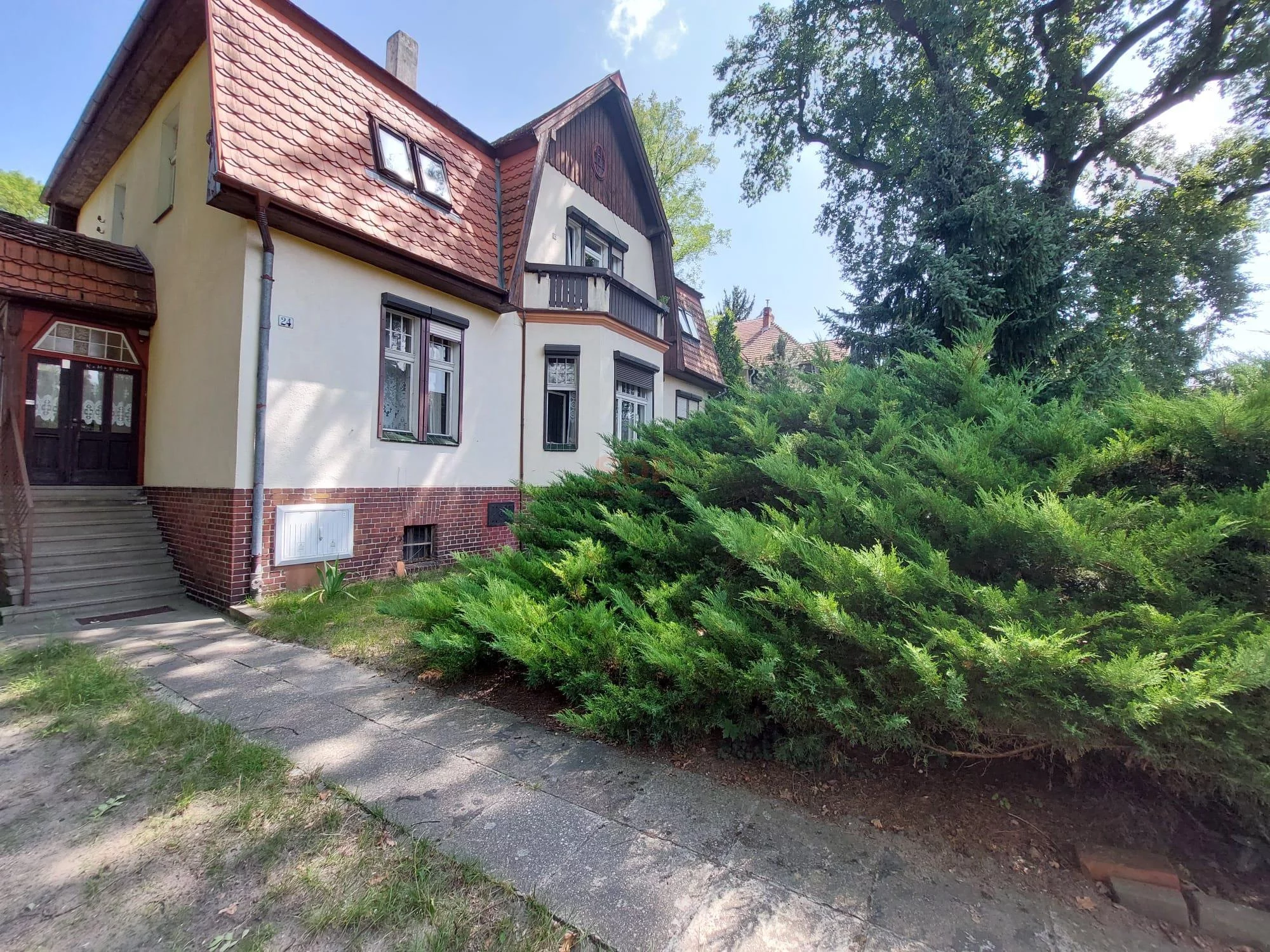39787 - zdjęcie nr 3