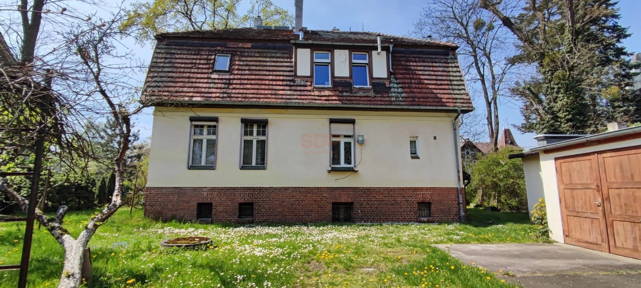 39787 - zdjęcie nr 4