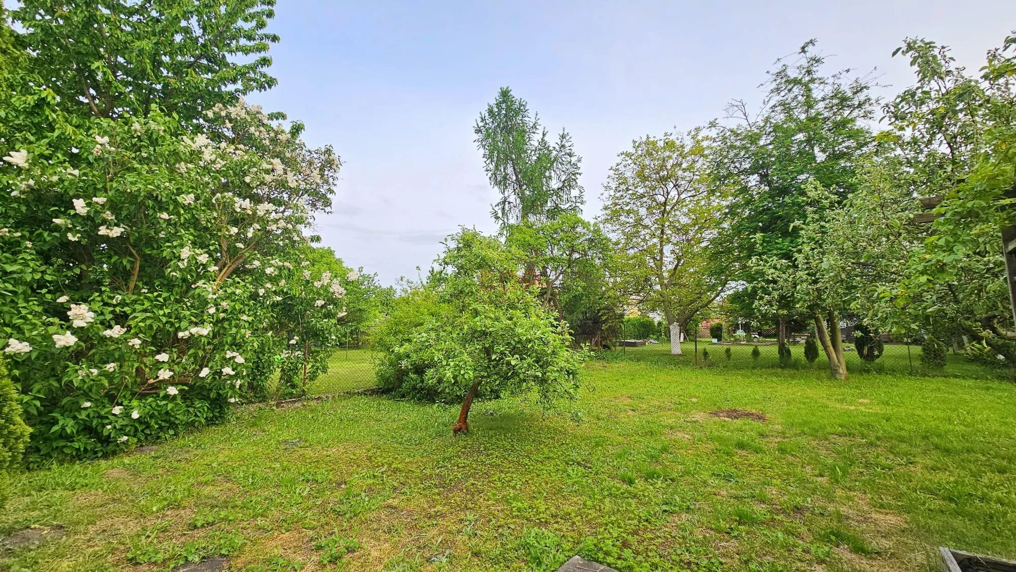 37688 - zdjęcie nr 3