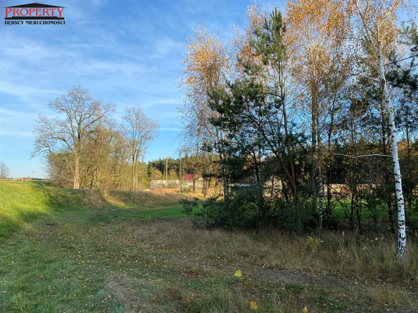 Działka 11 400,00 m², oferta nr , PRO-GS-10062-2, Grzegorzew