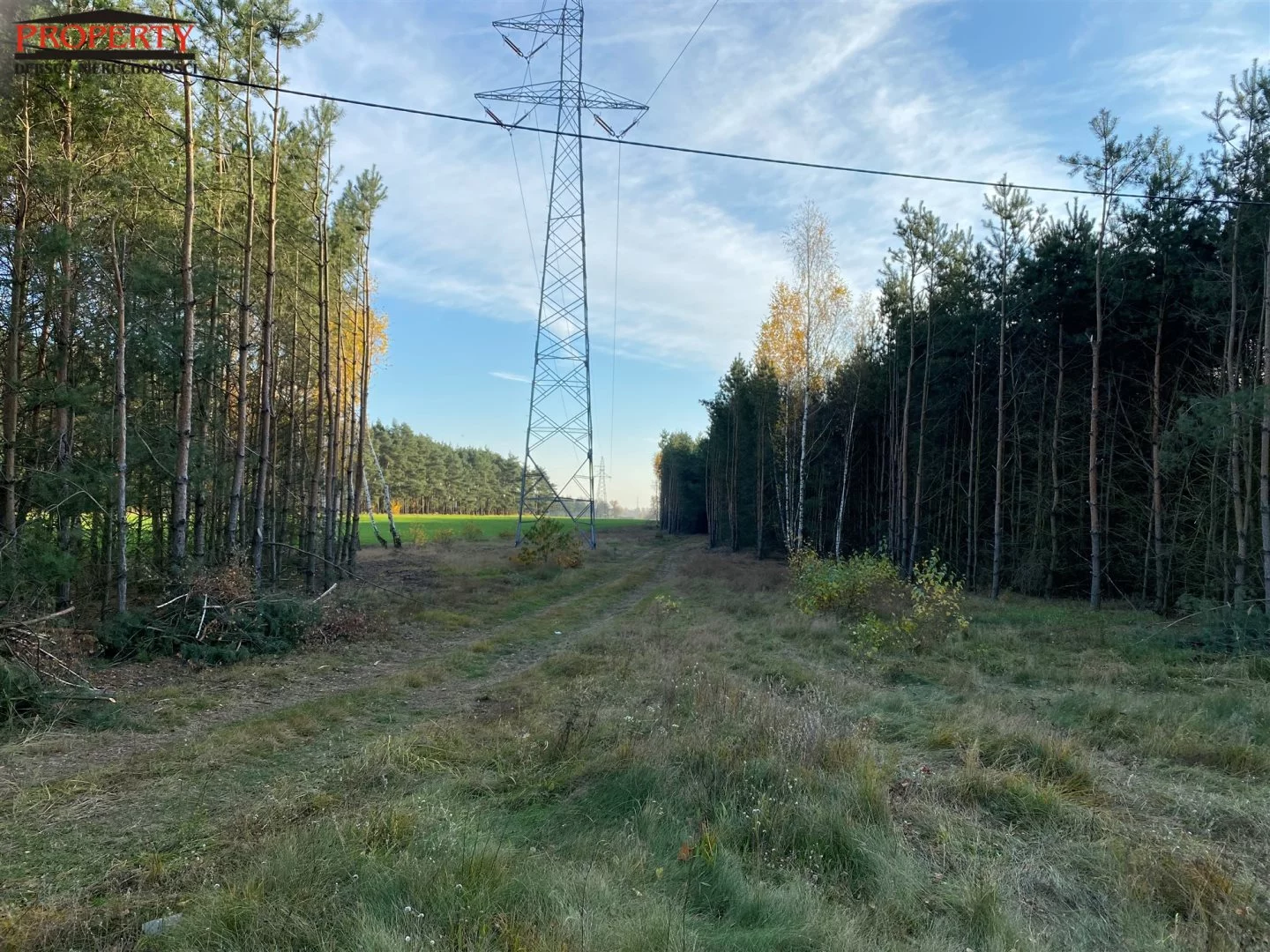Działka 11 400,00 m², oferta nr , PRO-GS-10062-2, Grzegorzew