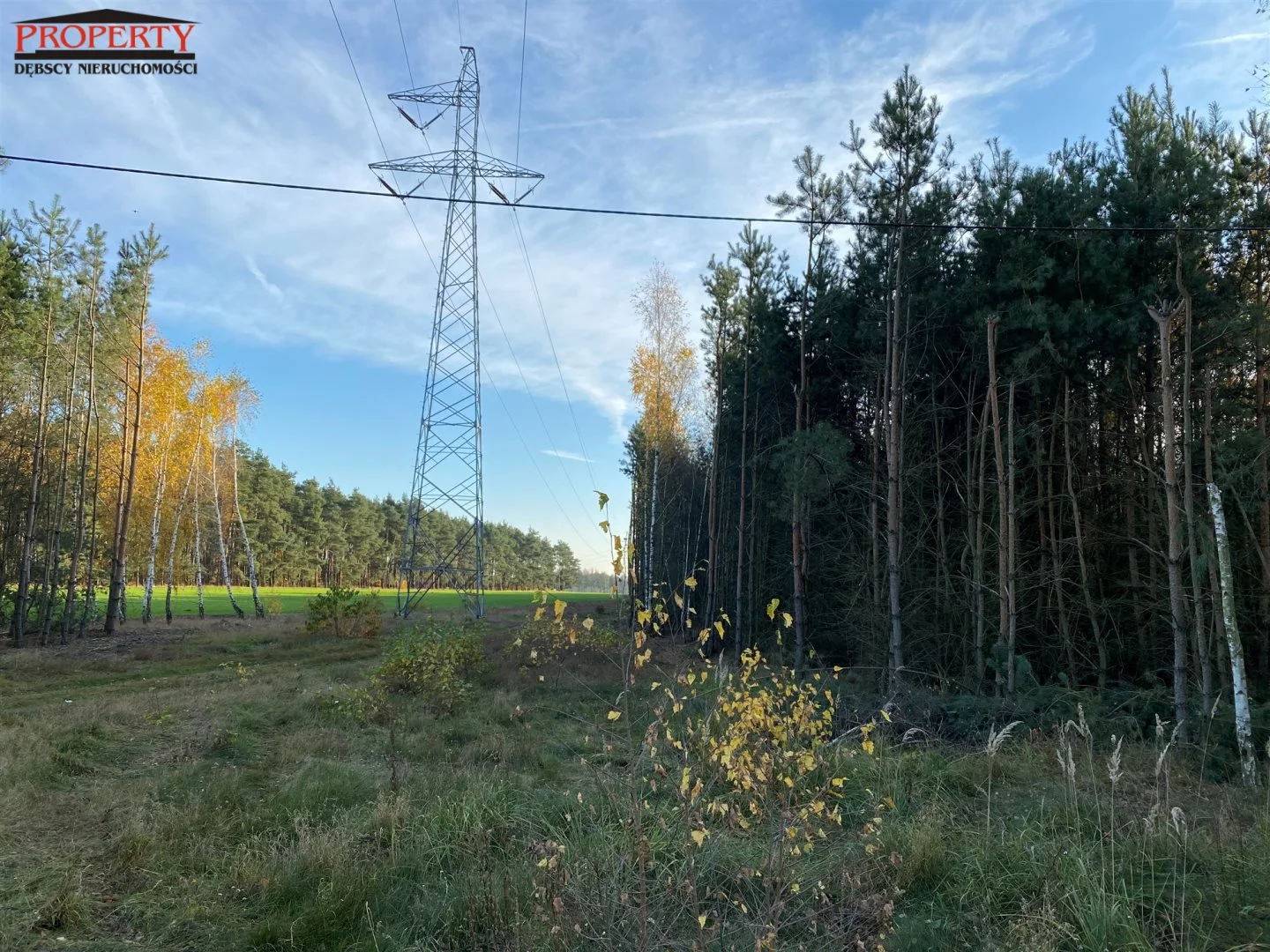 Działka 11 400,00 m², oferta nr , PRO-GS-10062-2, Grzegorzew
