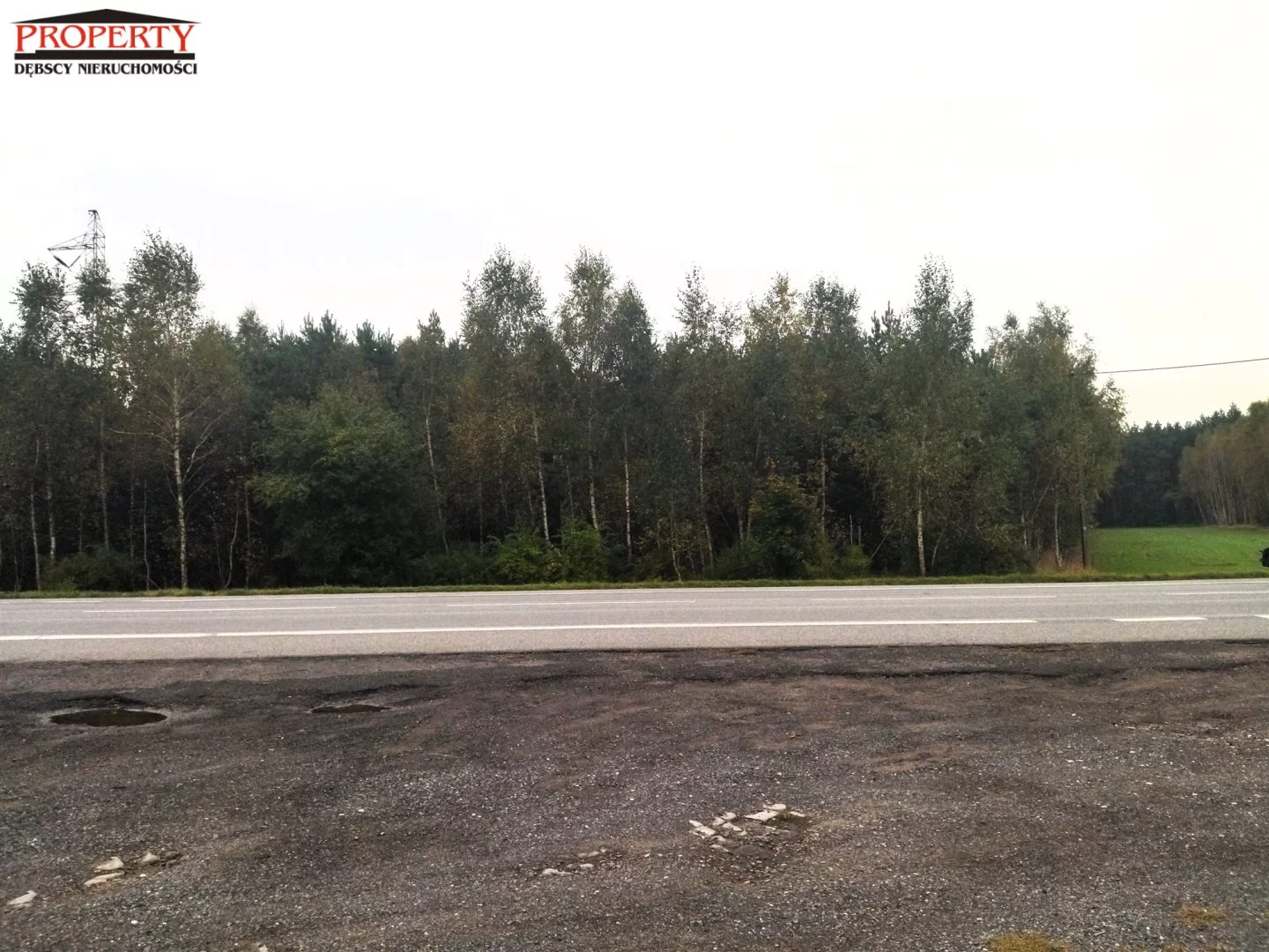 Działka 11 400,00 m², oferta nr , PRO-GS-10062-2, Grzegorzew