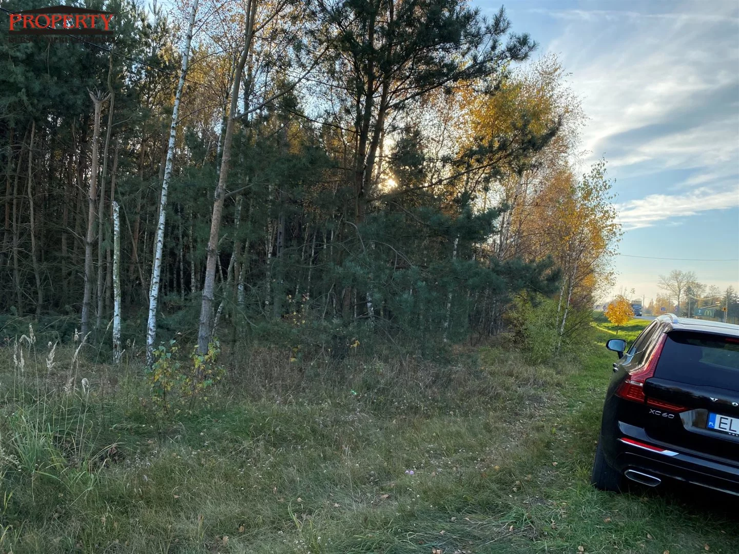Działka 11 400,00 m², oferta nr , PRO-GS-10062-2, Grzegorzew