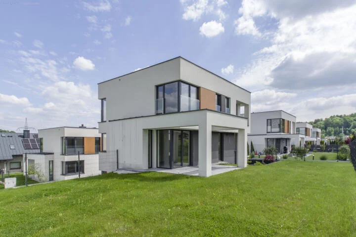 7845 - zdjęcie nr 2