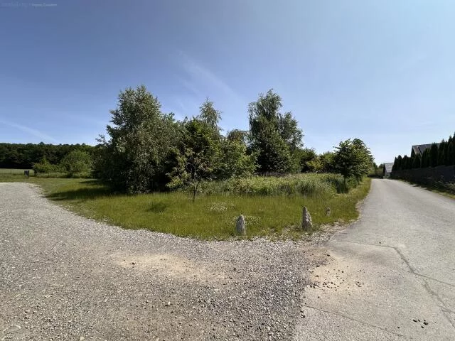 7872 - zdjęcie nr 2