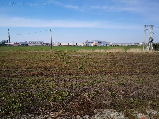 Działka 985,00 m², oferta nr , 6842, Tychy, Przejazdowa