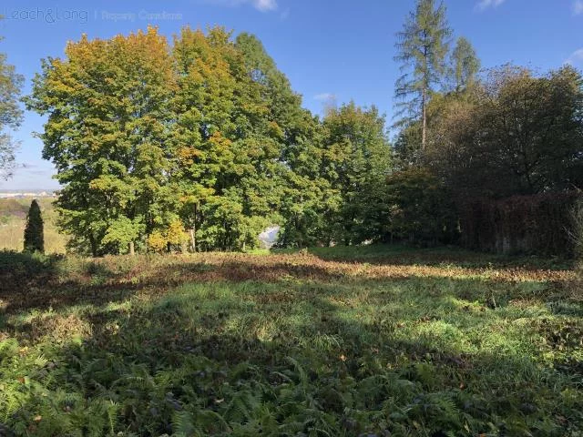 Działka 10 400,00 m², oferta nr , 6276, Kraków, Zwierzyniec, al. Waszyngtona, Jerzego