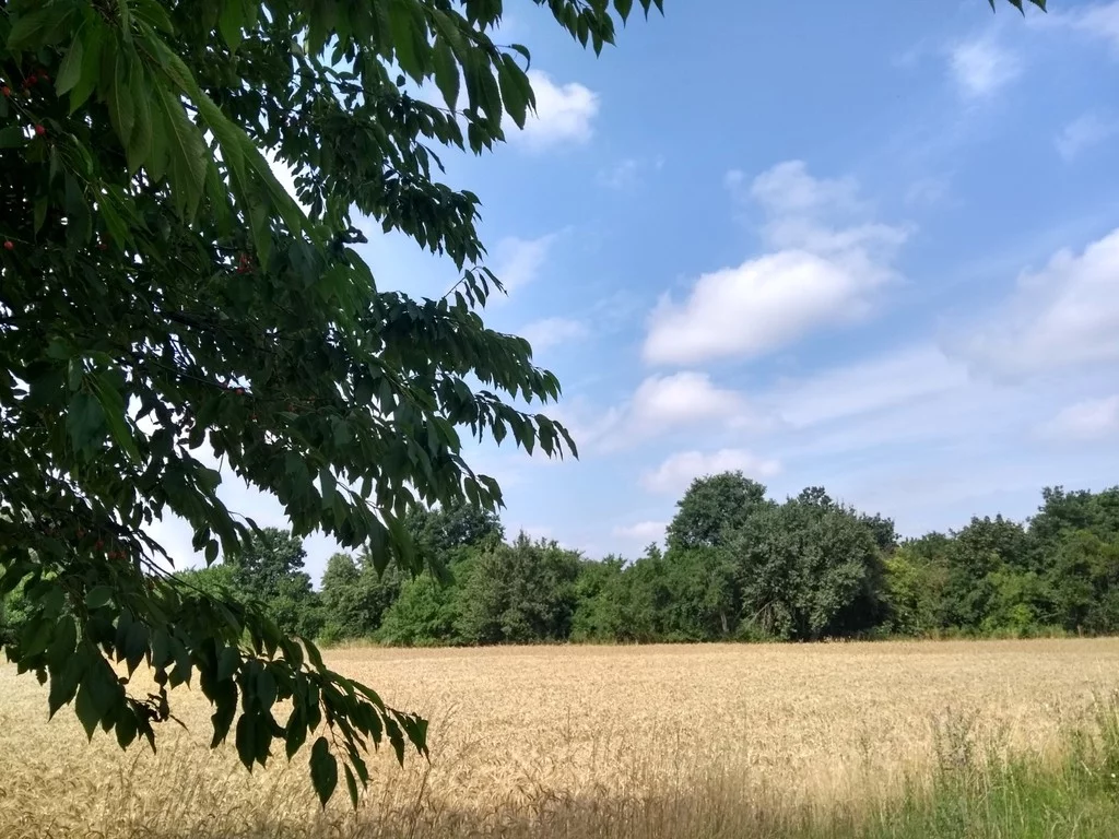 Apartamenty 55/5895/OGS Orle Wielkie