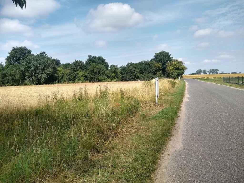 55/5895/OGS - zdjęcie nr 1