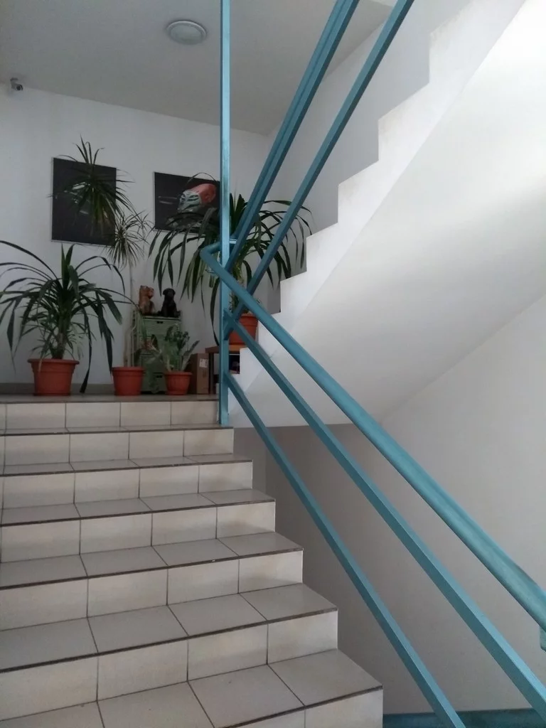 Lokal użytkowy 400,00 m², oferta nr , 143/5895/OLW, Poznań