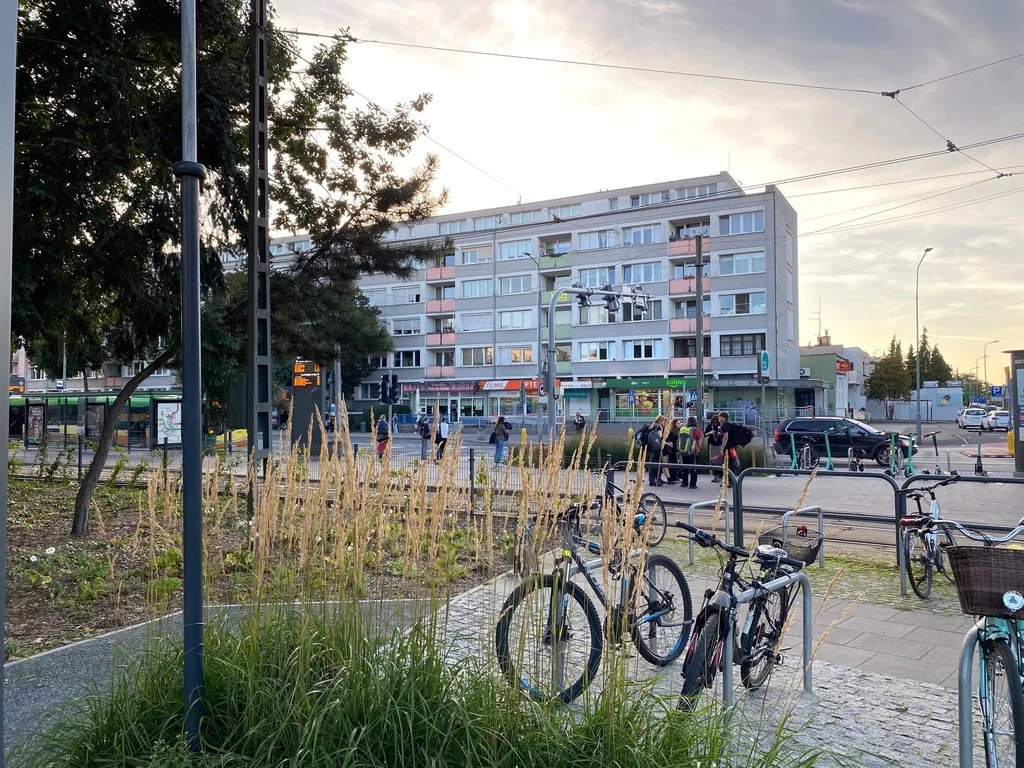 Apartamenty 36/5895/OMS Poznań Jeżyce Szpitalna