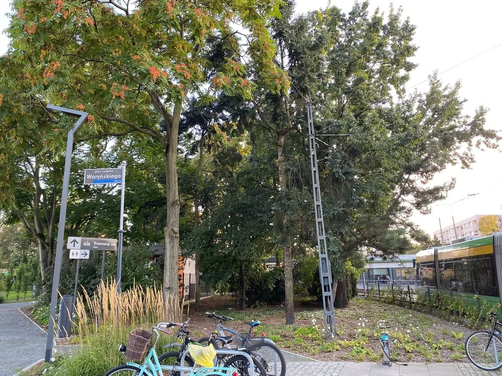 3 pokoje, mieszkanie 59,30 m², piętro 3, oferta nr , 36/5895/OMS, Poznań, Jeżyce, Jeżyce, Szpitalna