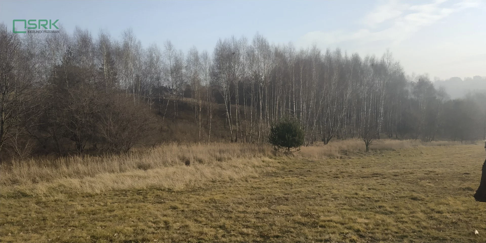 230-49/2025 - zdjęcie nr 2