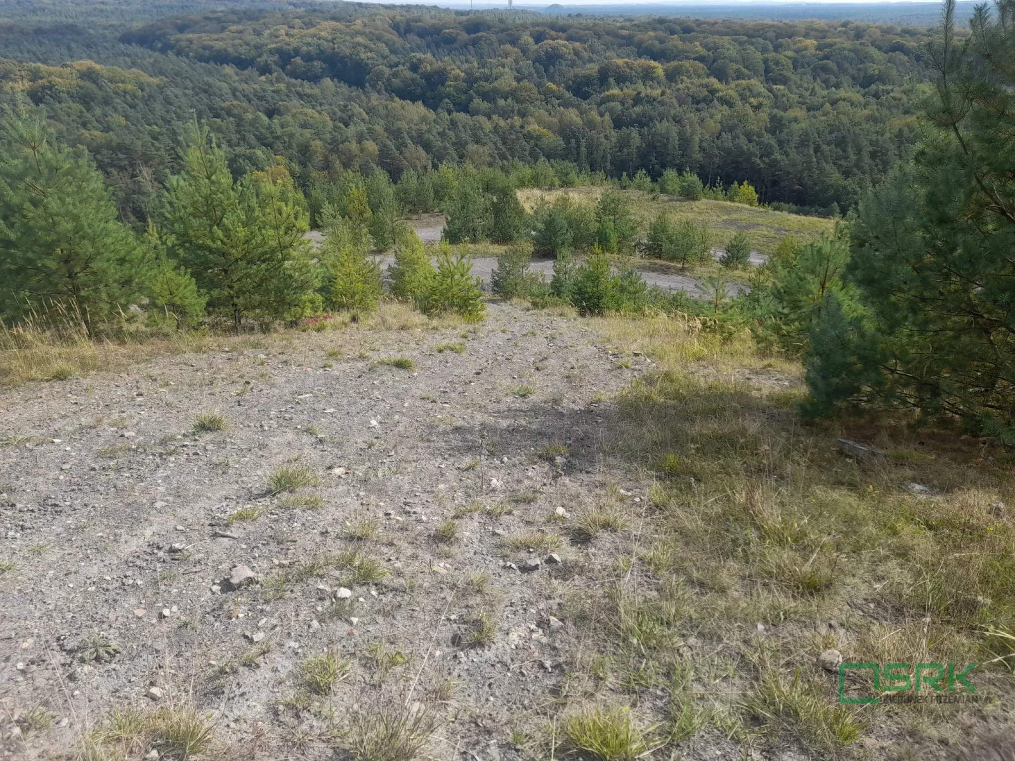 4/2/07/2025 - zdjęcie nr 3