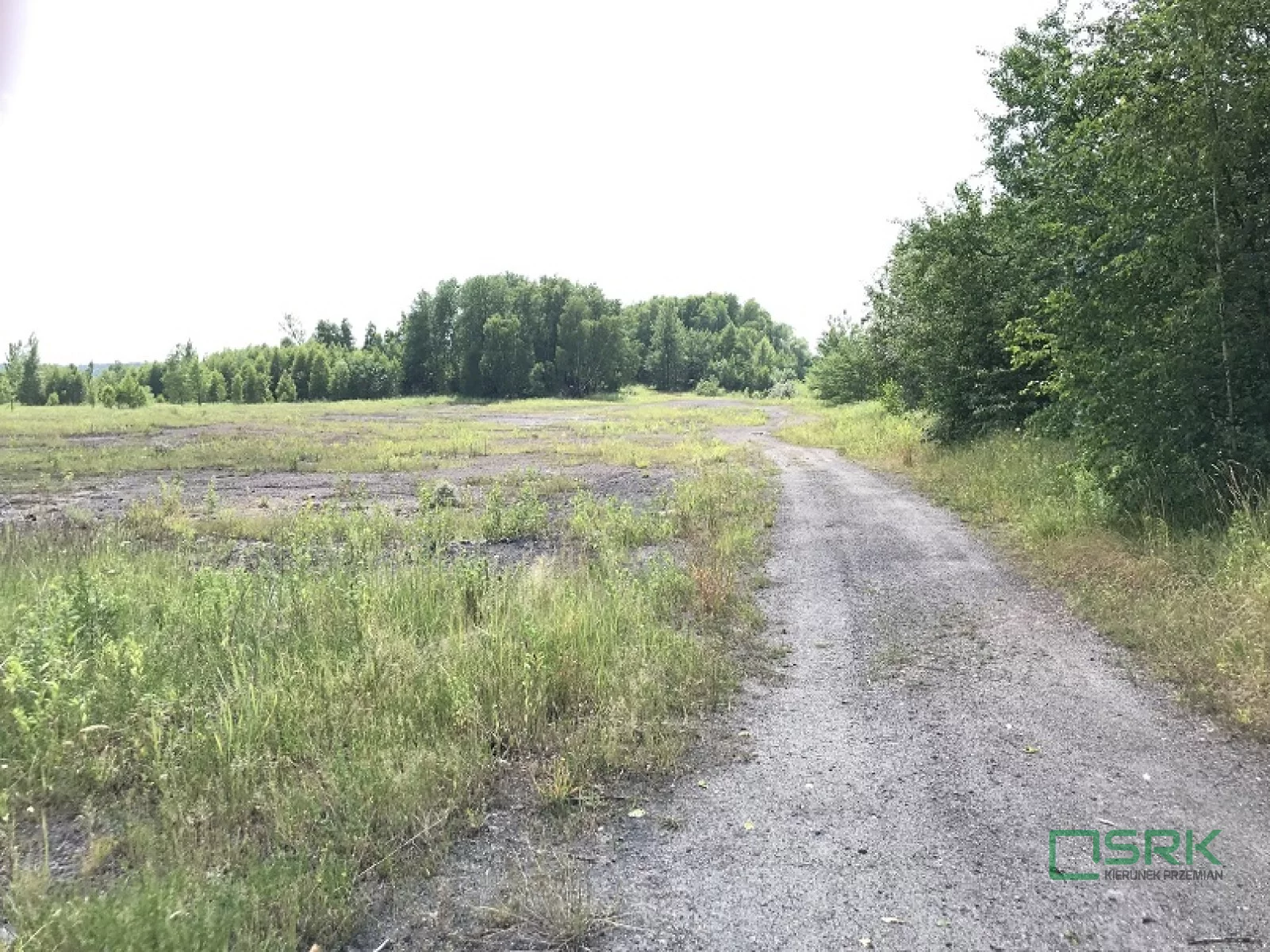 Działka 248 822,00 m², oferta nr , 4/6/08/2024, Wodzisław Śląski, Czarnieckiego