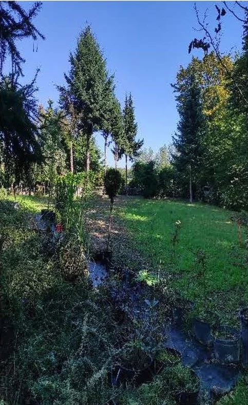 Apartamenty TTT-00000741 Czechowice-Dziedzice