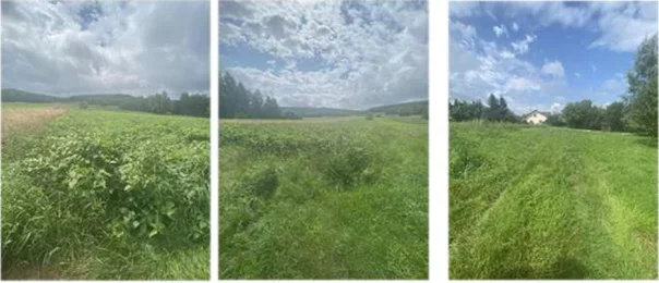 Działka 3 821,00 m², oferta nr , TTT-0001071, Długie