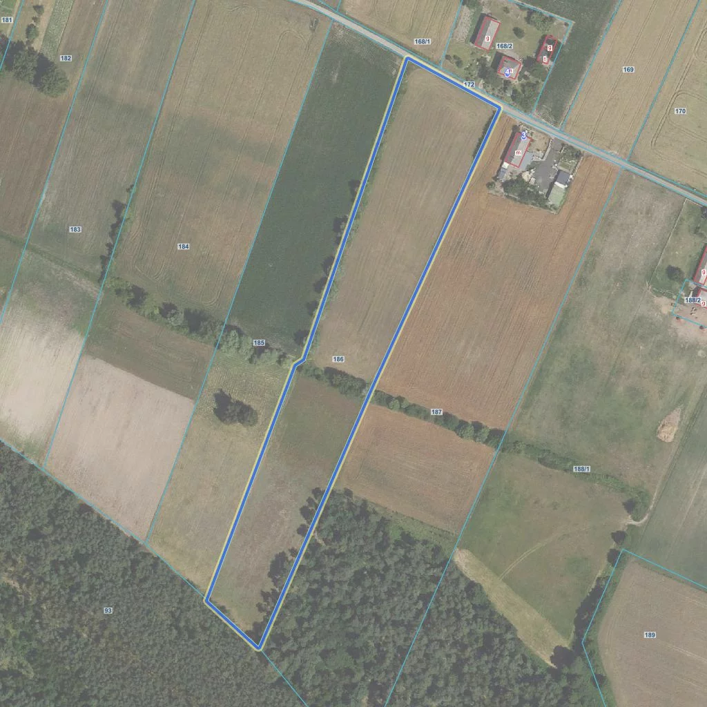 Działka 58 200,00 m², oferta nr , TTT-00000851, Gołas