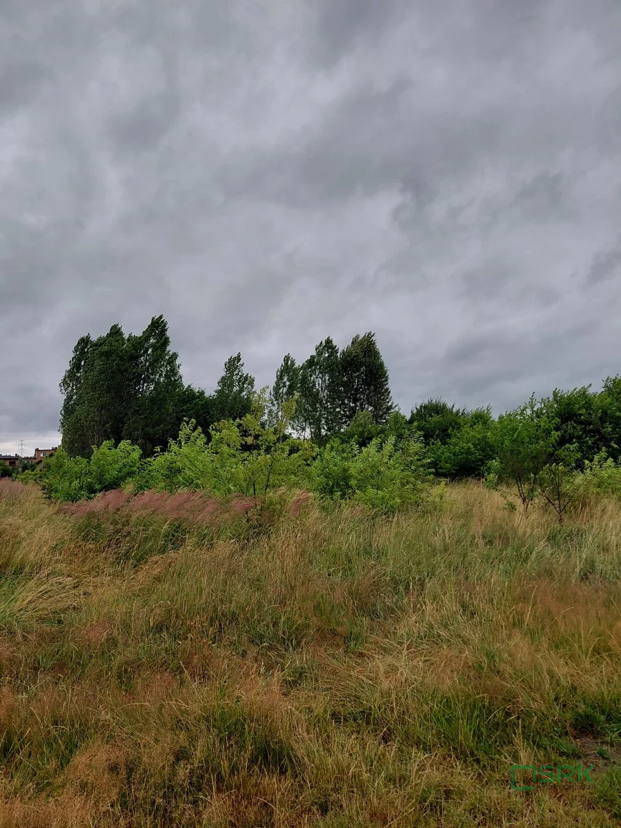 Działka 2 927,00 m², oferta nr , 4/8/08/2025, Mysłowice, Górnośląska