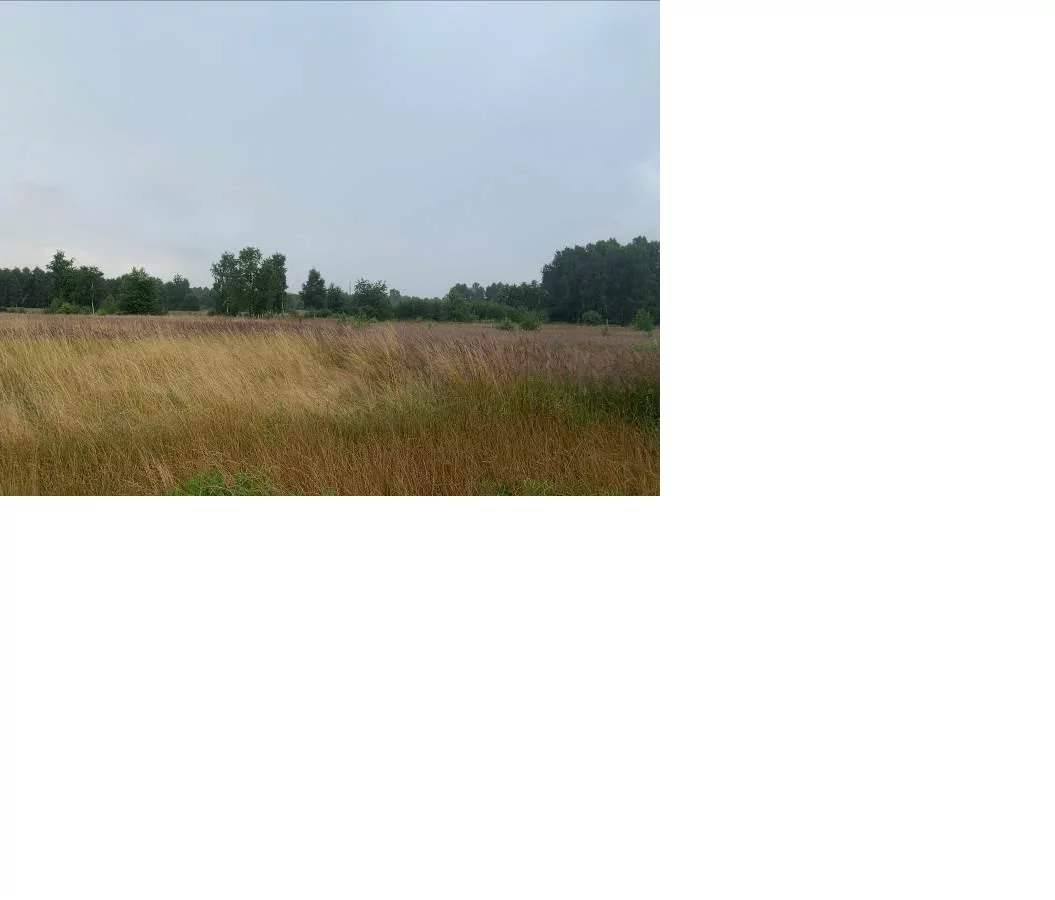 Apartamenty TTT-00000985 Gruszewnia