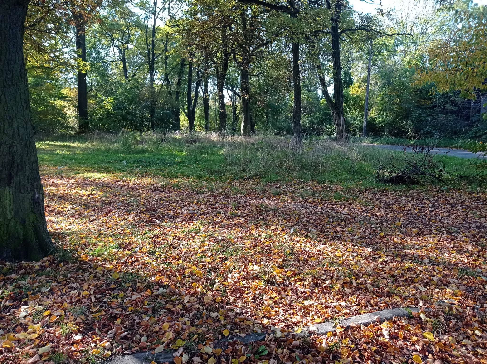 Apartamenty AZM/DM/97/2025/06-25/DG Sosnowiec Ildefonsa Gałczyńskiego dz 2/22