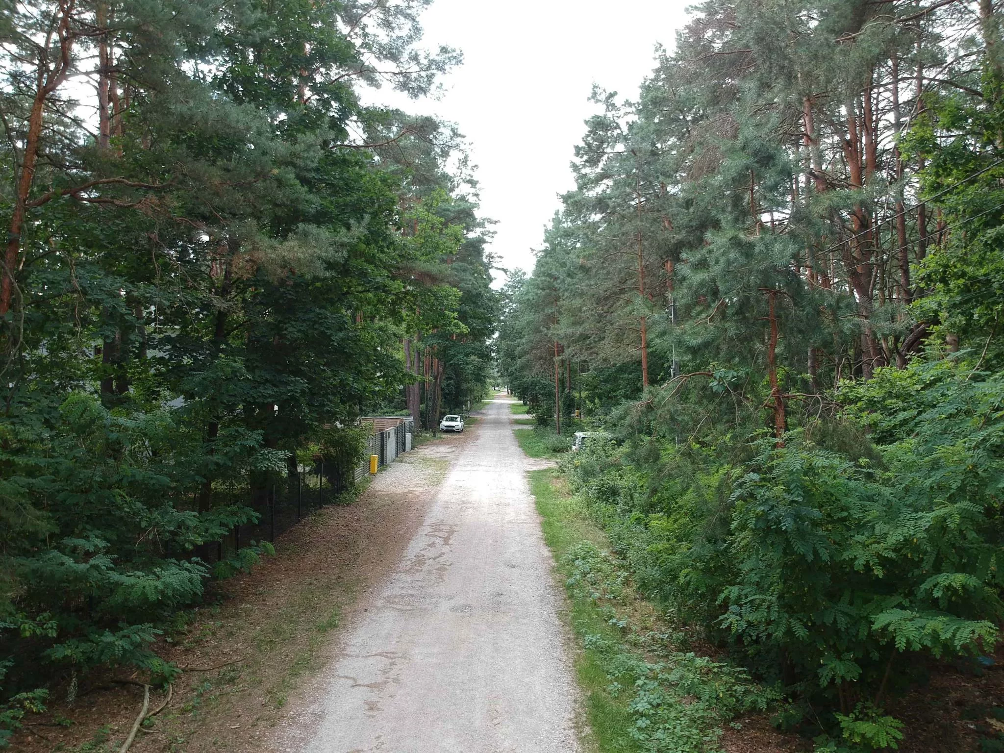 Działka 1 200,00 m², Izabelin, Sprzedaż