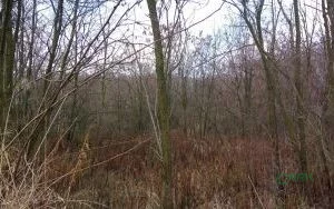 Działka 60 504,00 m², oferta nr , 4/19/11/2019, Wojkowice, Karłowicza