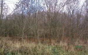 Działka 60 504,00 m², oferta nr , 4/19/11/2019, Wojkowice, Karłowicza