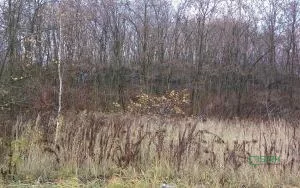 Działka 60 504,00 m², oferta nr , 4/19/11/2019, Wojkowice, Karłowicza