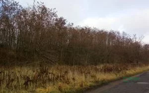 Działka 60 504,00 m², oferta nr , 4/19/11/2019, Wojkowice, Karłowicza