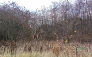 Działka 60 504,00 m², oferta nr , 4/19/11/2019, Wojkowice, Karłowicza