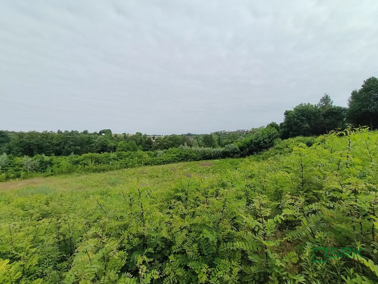 Działka 25 483,00 m², oferta nr , 4/2/07/2023, Pszów, Karola Miarki