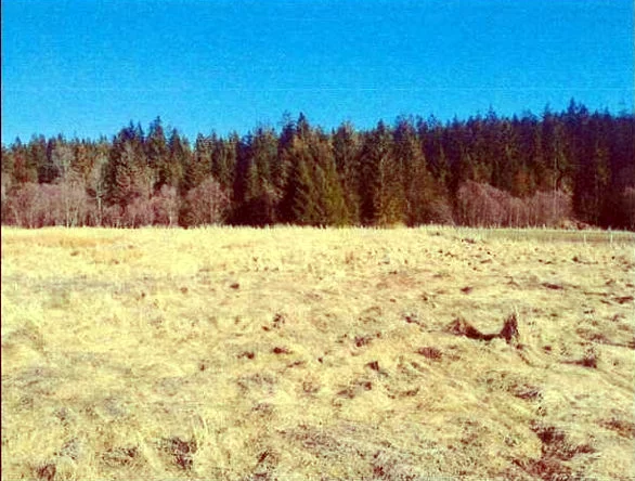 TTT-00000967 - zdjęcie nr 1