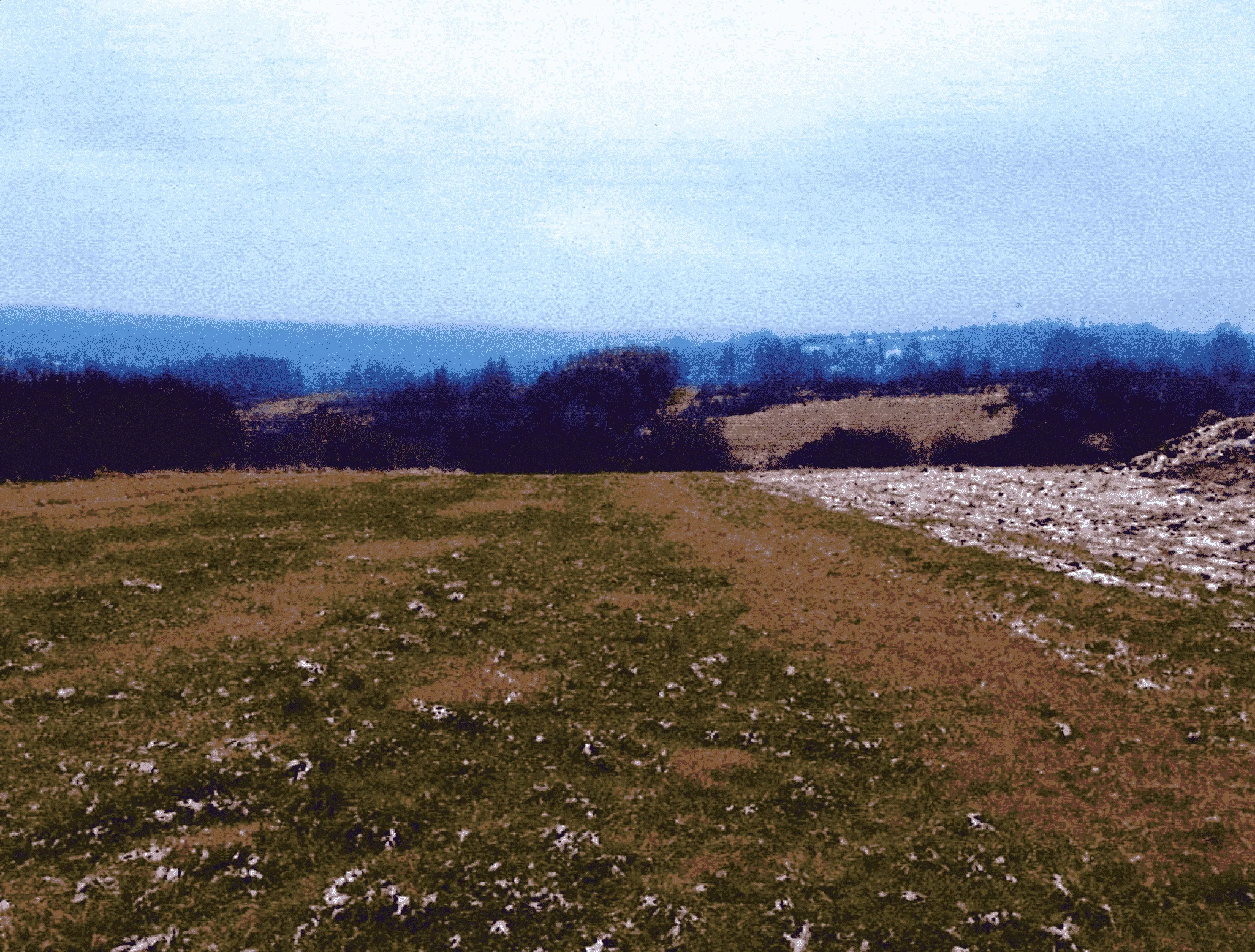 TTT-00000974 - zdjęcie nr 0