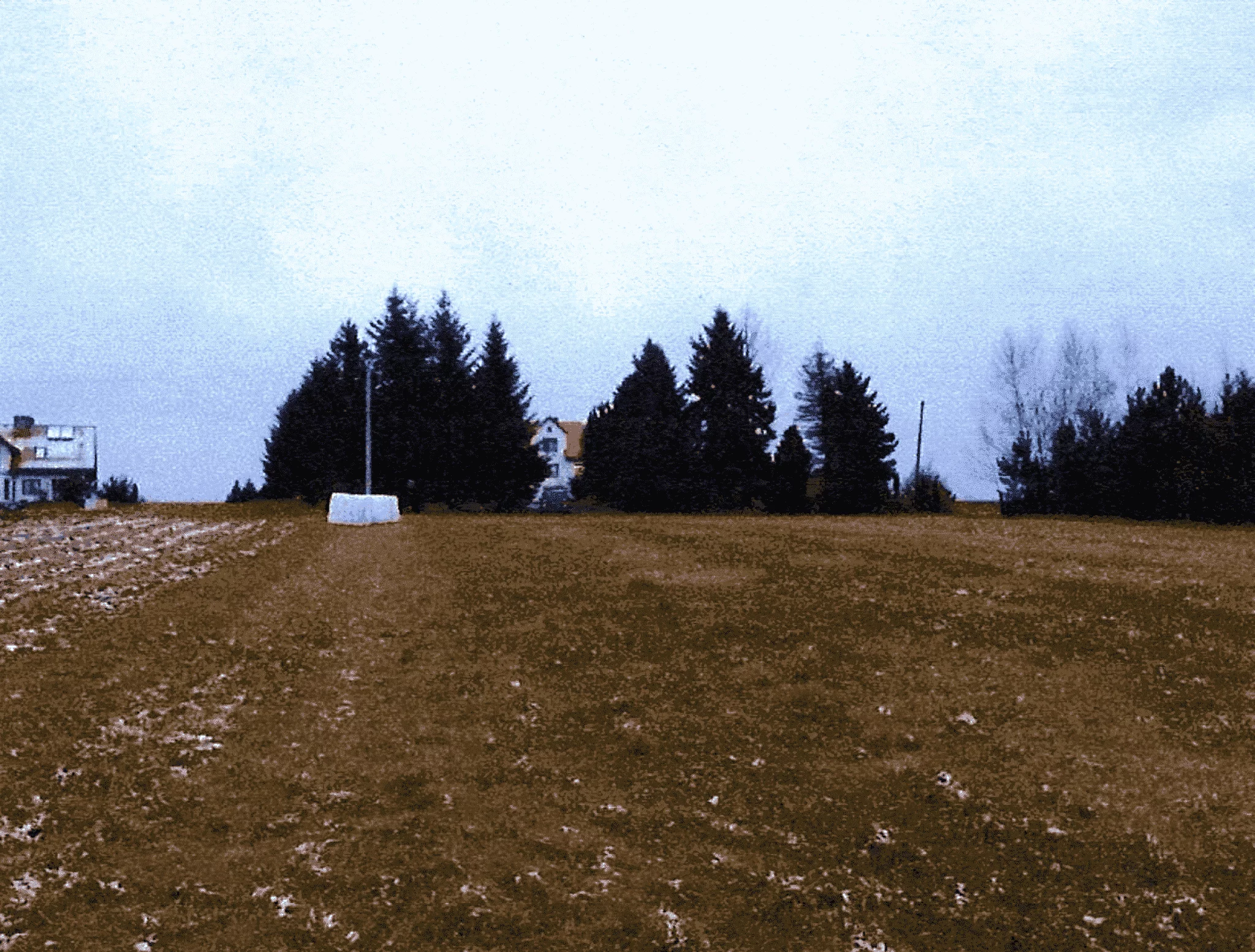 TTT-00000974 - zdjęcie nr 2