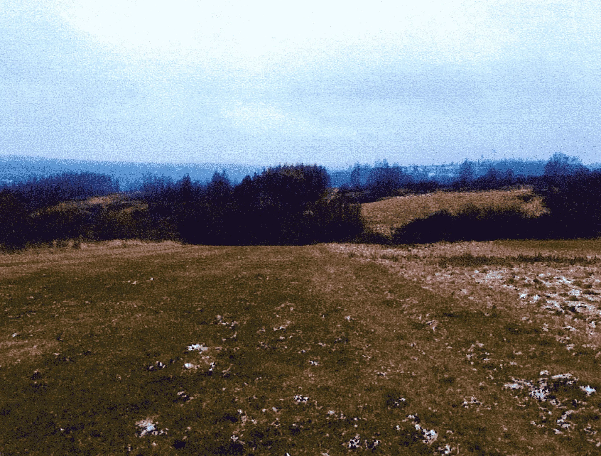 TTT-00000974 - zdjęcie nr 3