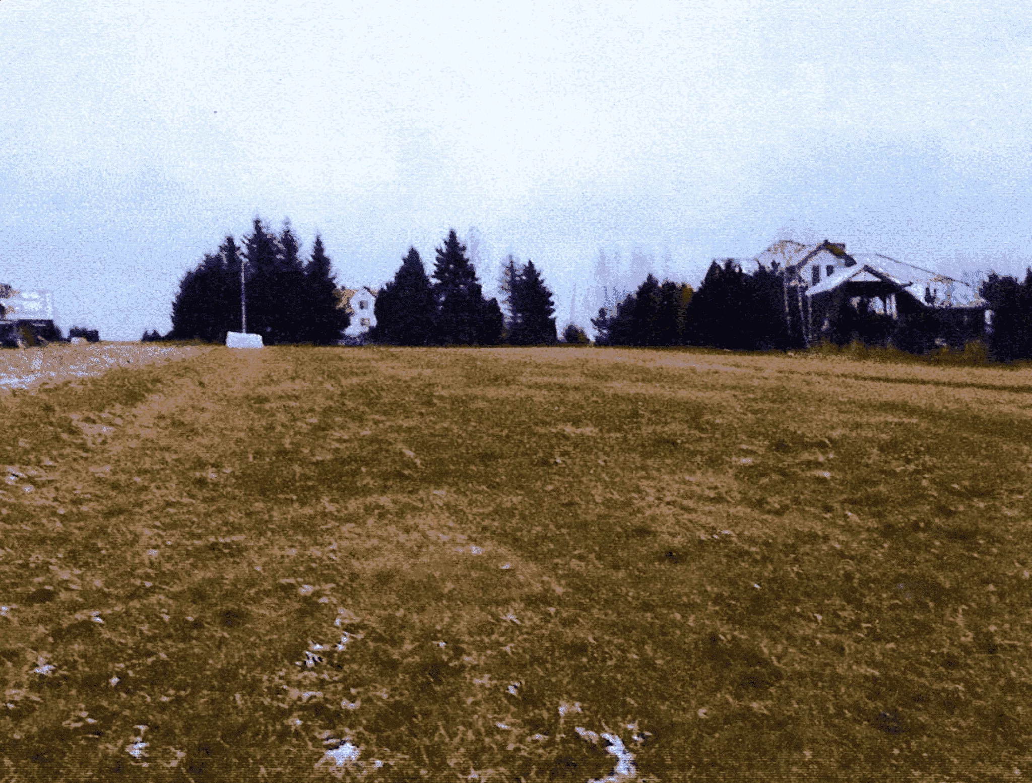 TTT-00000974 - zdjęcie nr 4