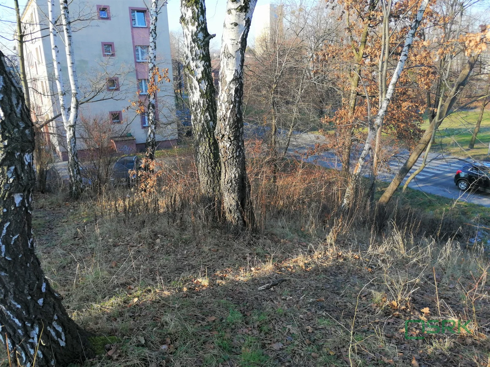 Działka 4 466,00 m², oferta nr , 4/91/01/2020, Rydułtowy, Leona