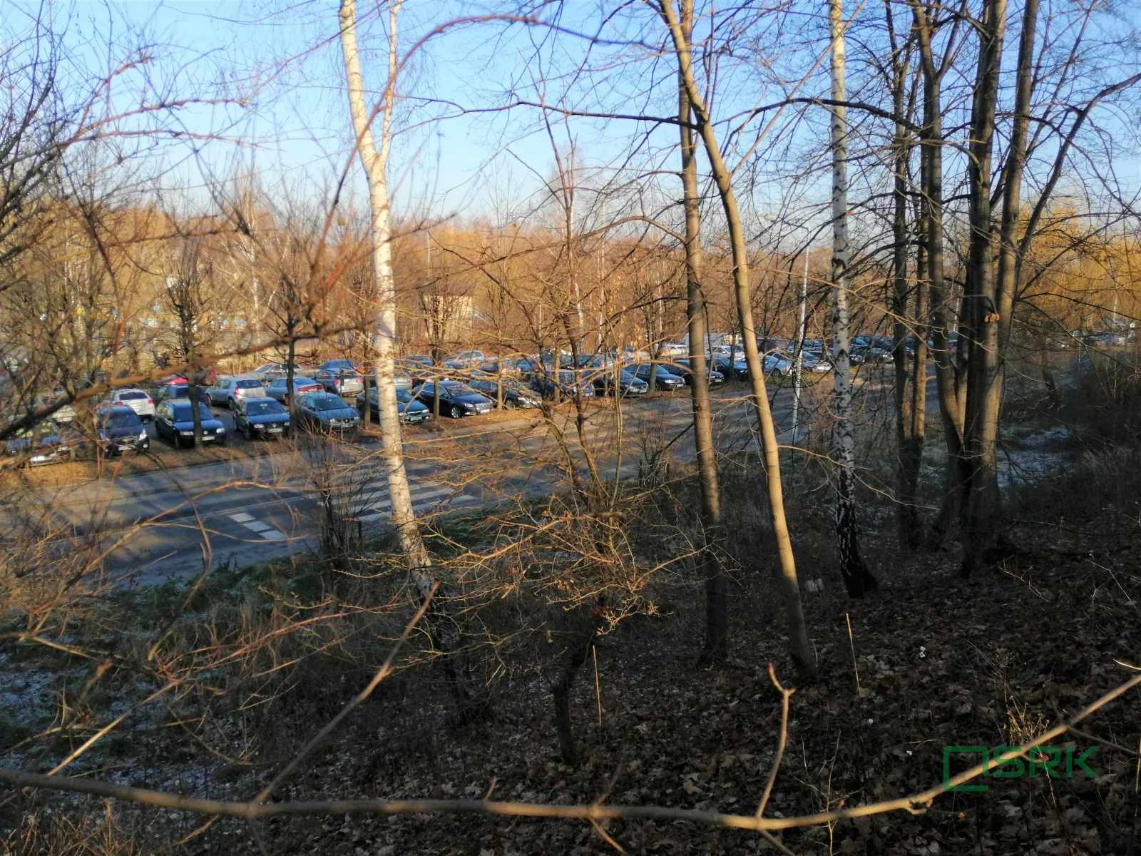 Działka 4 466,00 m², oferta nr , 4/91/01/2020, Rydułtowy, Leona
