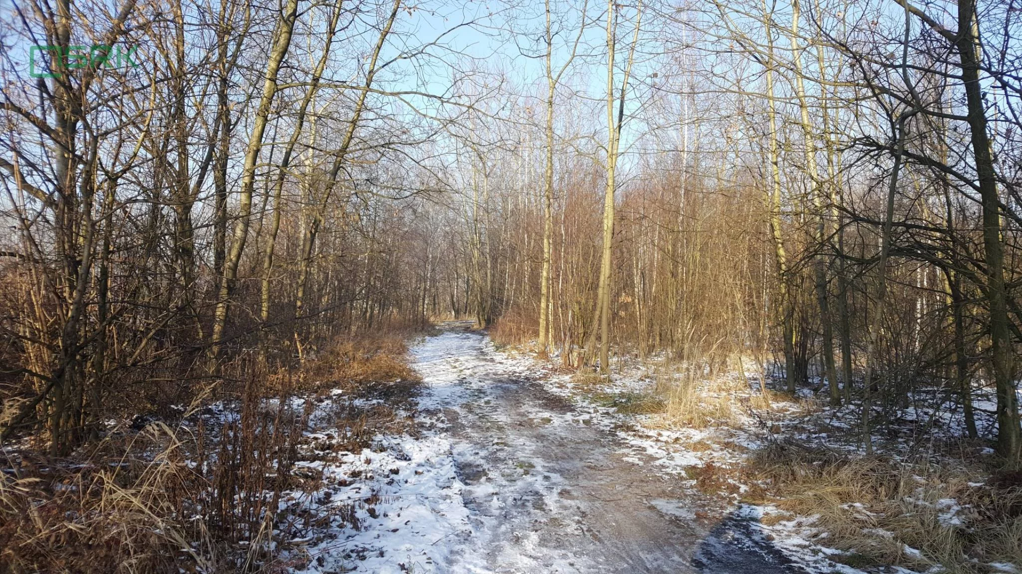 4/3/01/2020 - zdjęcie nr 0