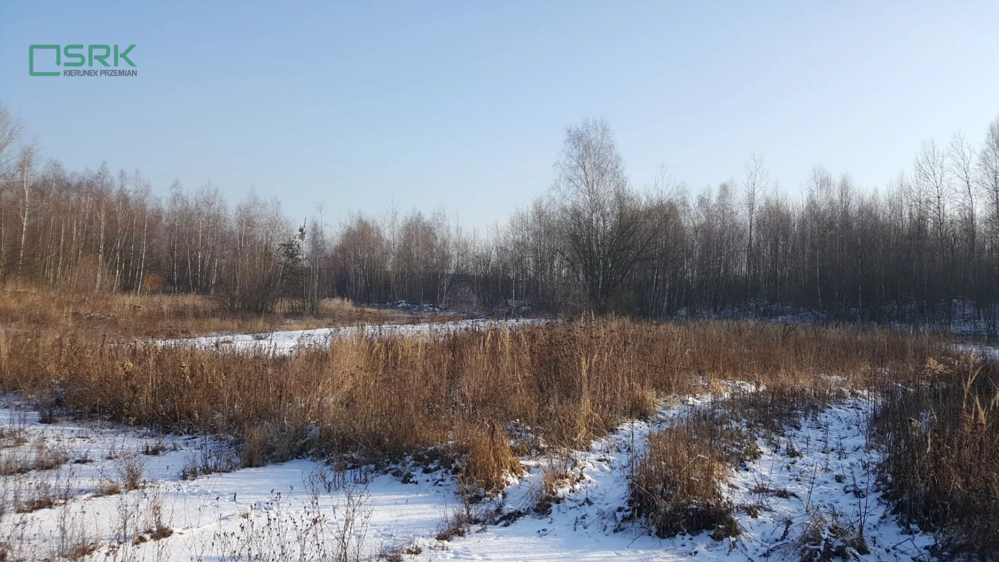 4/3/01/2020 - zdjęcie nr 4