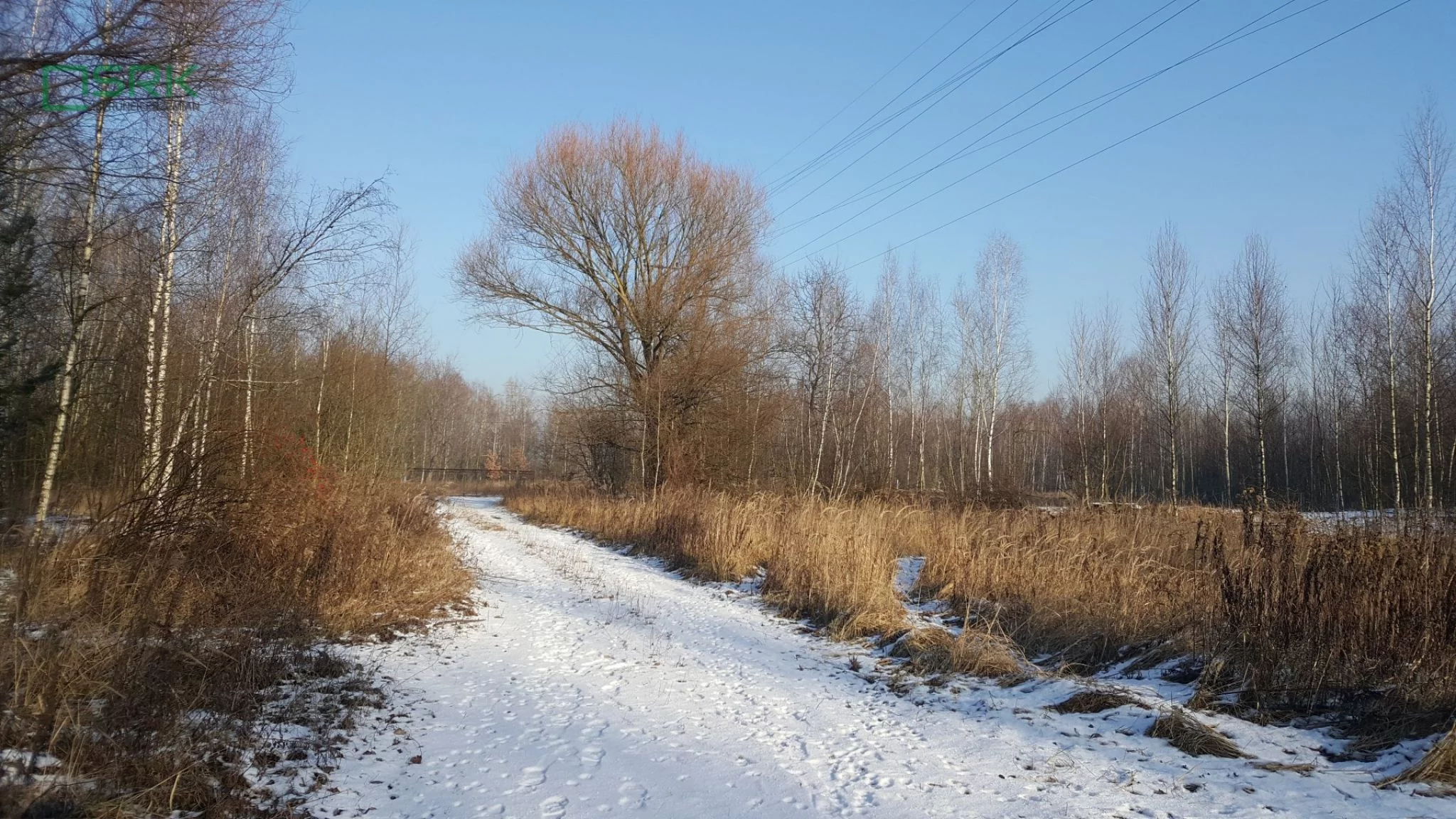 Działka 80 160,00 m², oferta nr , 4/3/01/2020, Brzeszcze, Lesisko